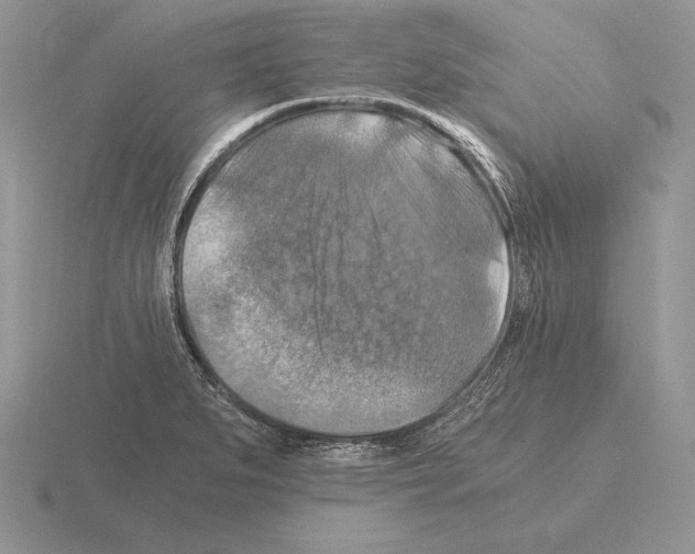 X0000115411279200912151533