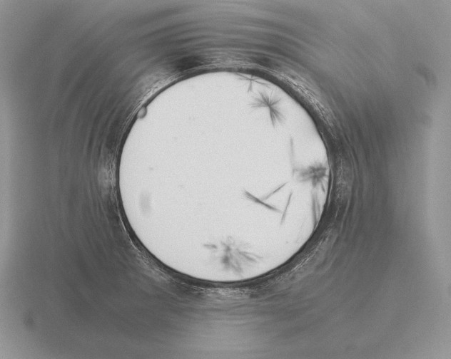 X0000115411281200912151533