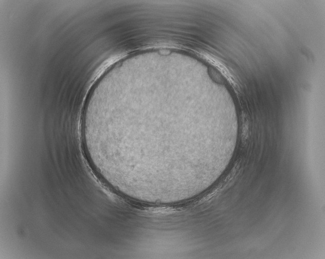 X0000115411282200912151533