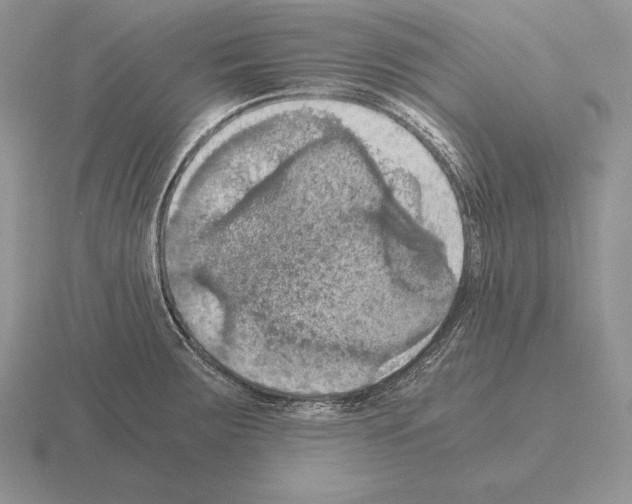 X0000115411283200912151533