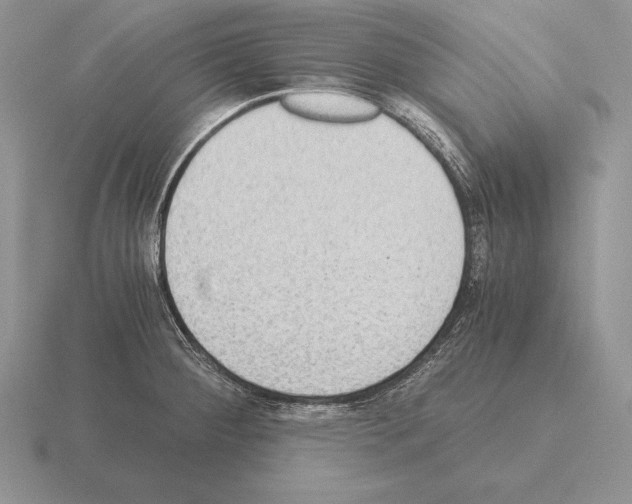 X0000115411284200912151533