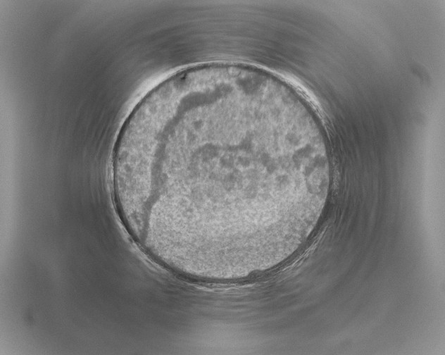 X0000115411287200912151533