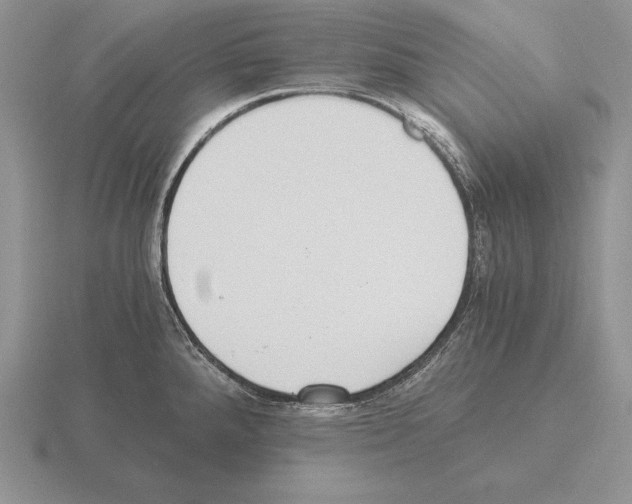 X0000115411288200912151533