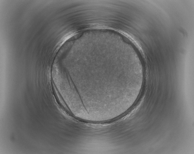 X0000115411289200912151533