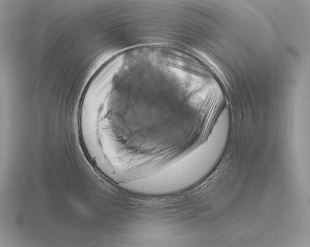 X0000115411291200912151533