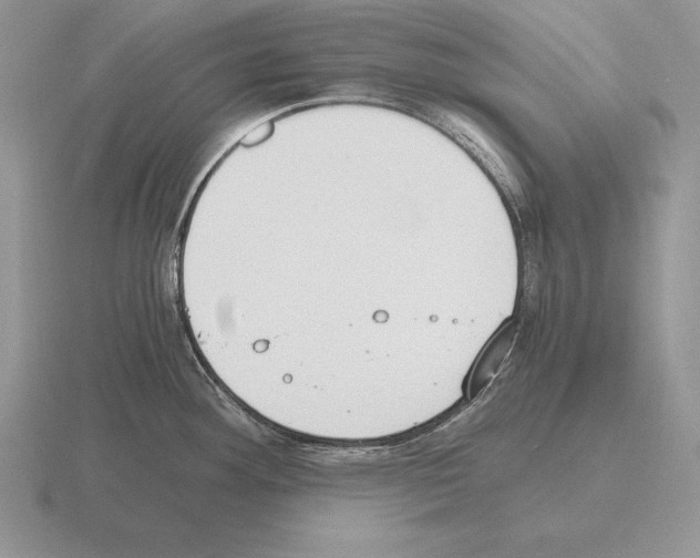 X0000115411292200912151533