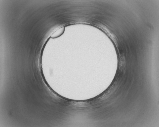 X0000115411293200912151533