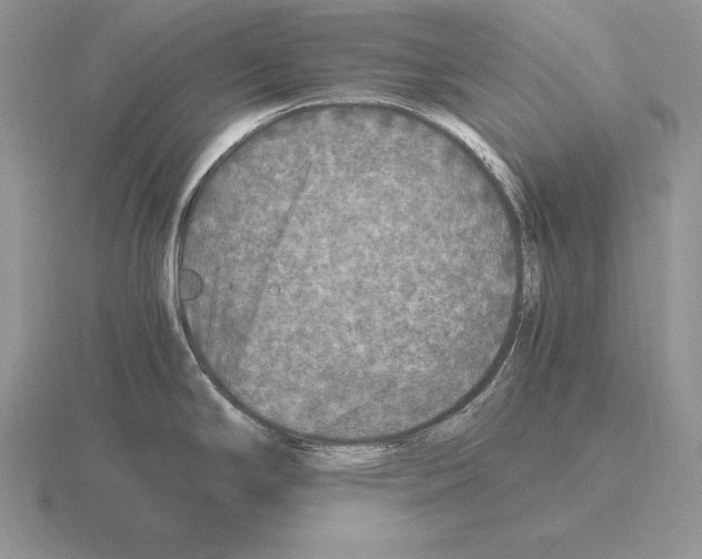 X0000115411294200912151533