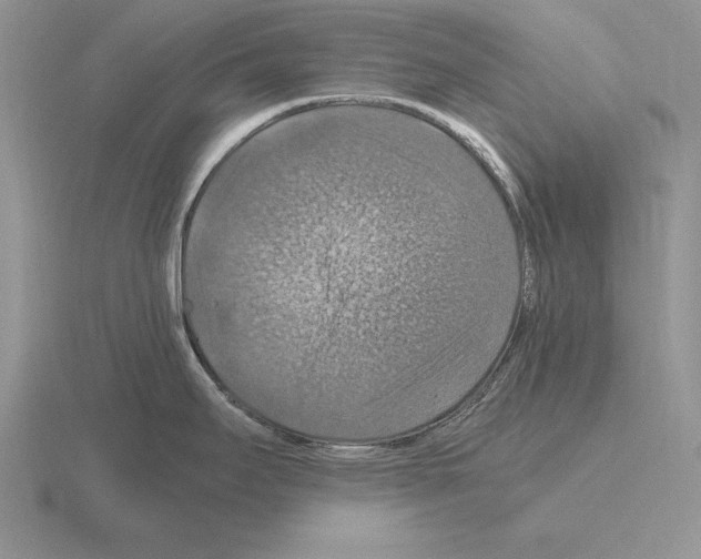 X0000115411295200912151533