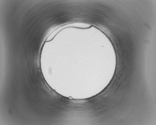 X0000115411296200912151533