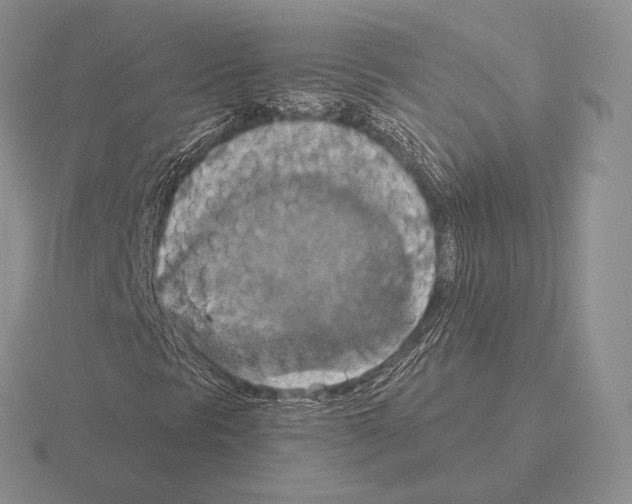 X0000115411297200912151532