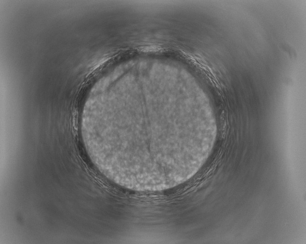 X0000115411301200912151532