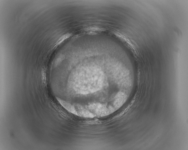 X0000115411305200912151533