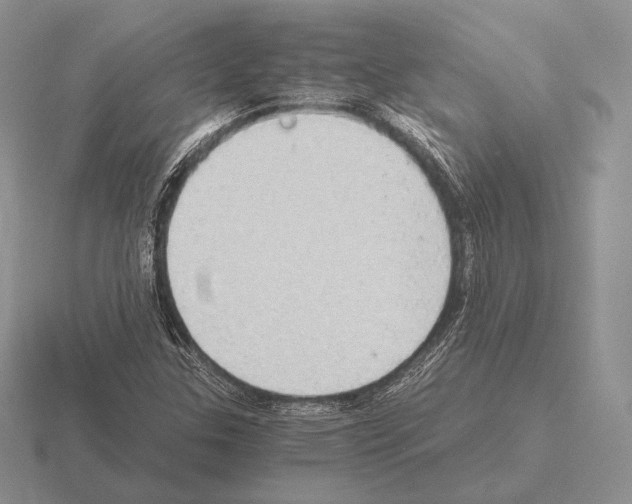 X0000115411307200912151533