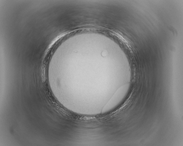 X0000115411310200912151533