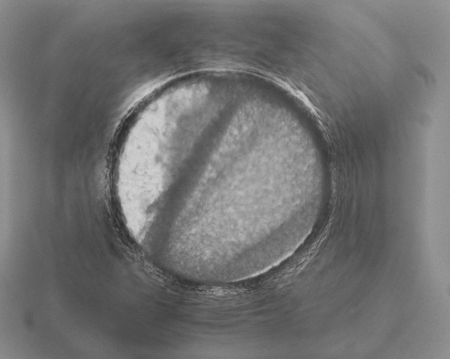 X0000115411311200912151533