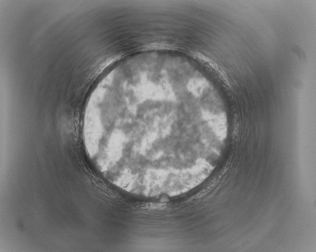 X0000115411313200912151533