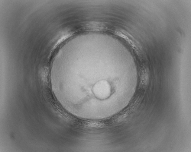 X0000115411314200912151533