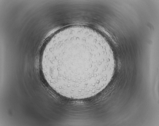 X0000115411315200912151533