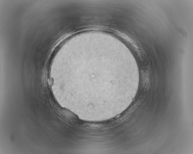 X0000115411318200912151533