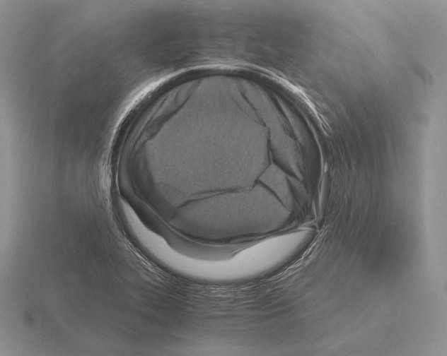 X0000115411319200912151533