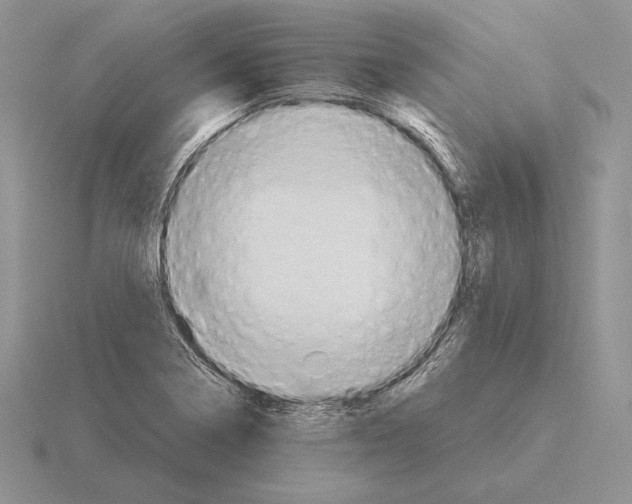 X0000115411322200912151533