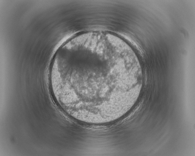 X0000115411325200912151533