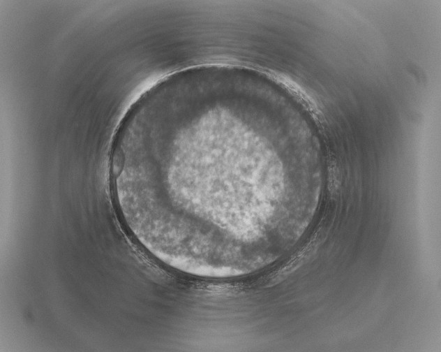 X0000115411326200912151533