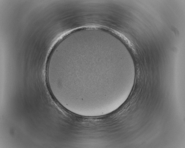 X0000115411327200912151533