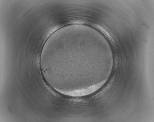 X0000115411329200912151533