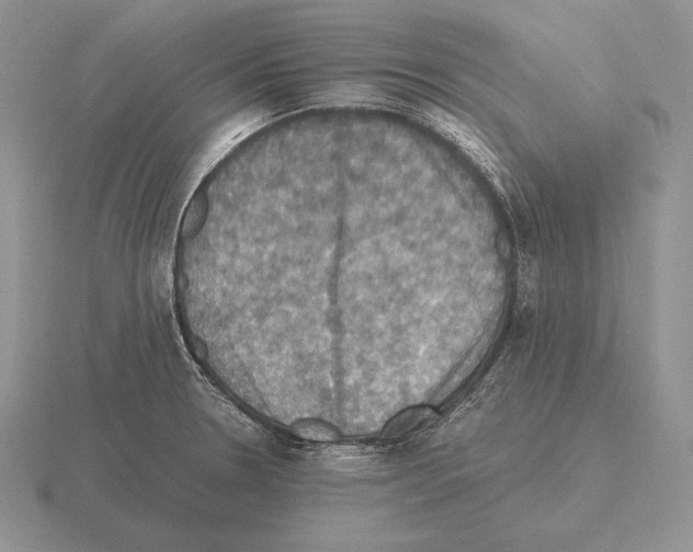 X0000115411330200912151533