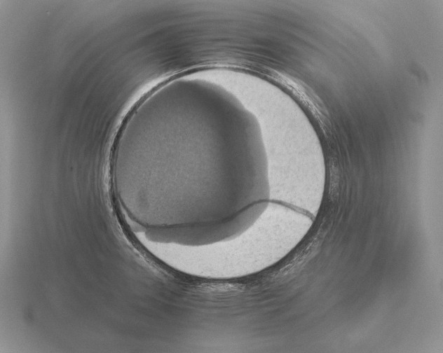 X0000115411331200912151533