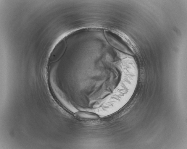 X0000115411334200912151533