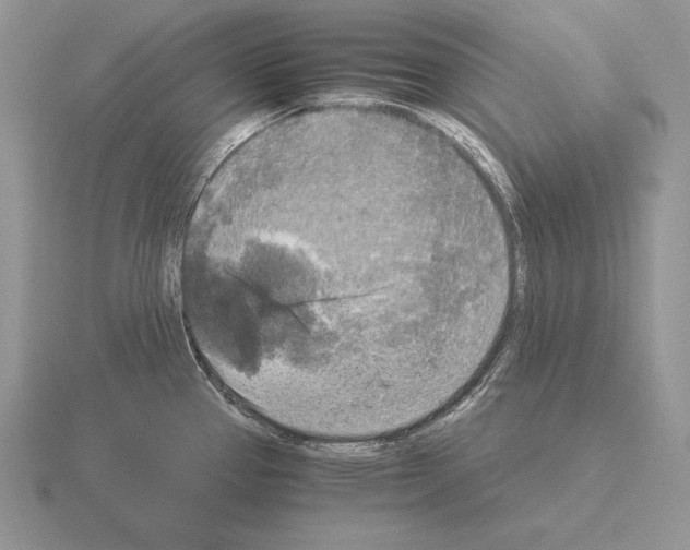 X0000115411337200912151533