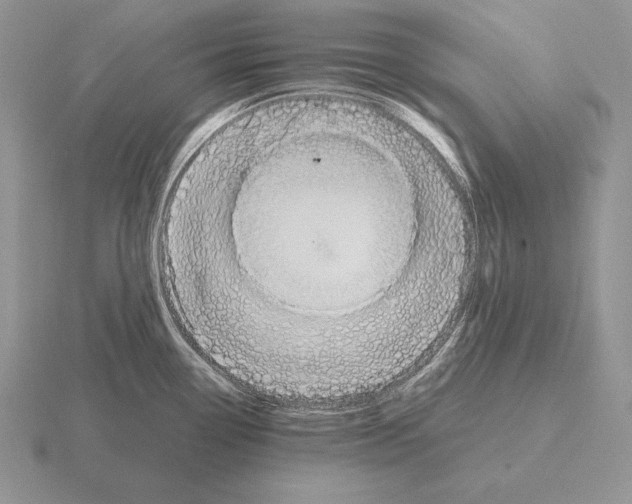 X0000115411338200912151533