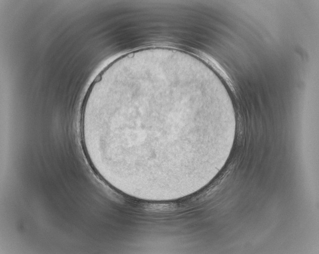 X0000115411339200912151533