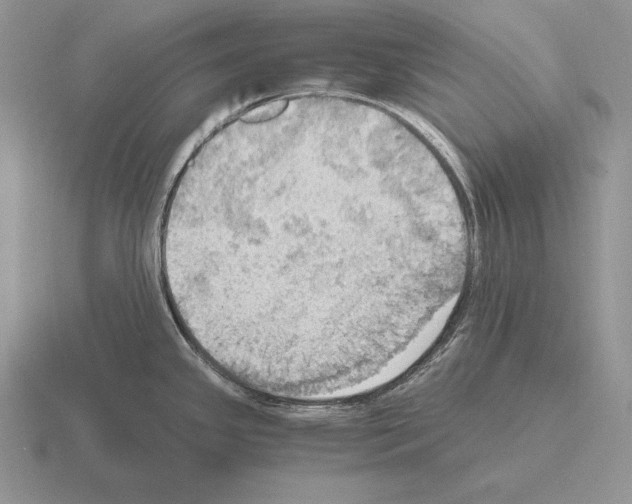 X0000115411341200912151533