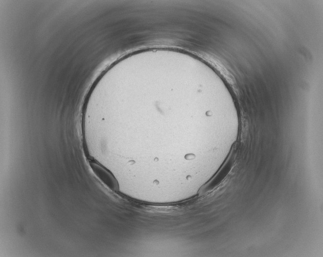 X0000115411342200912151533