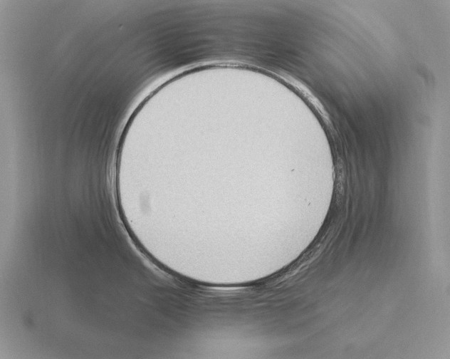 X0000115411343200912151533