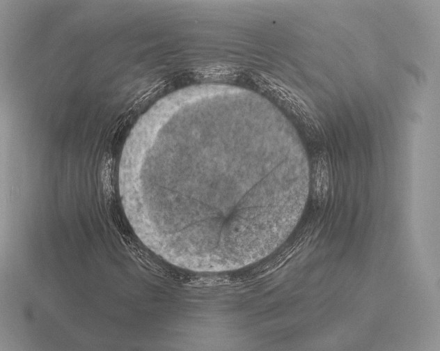 X0000115411346200912151532