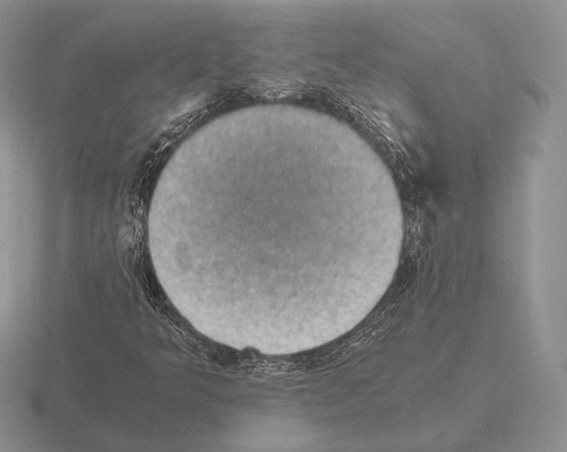 X0000115411349200912151532