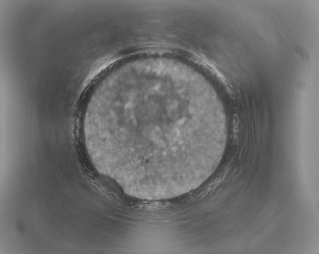 X0000115411352200912151532