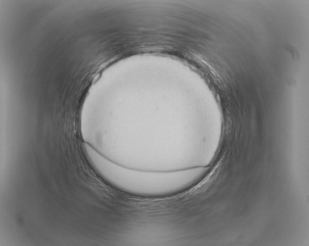 X0000115411353200912151532