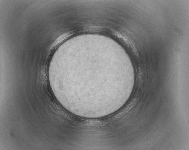 X0000115411354200912151532