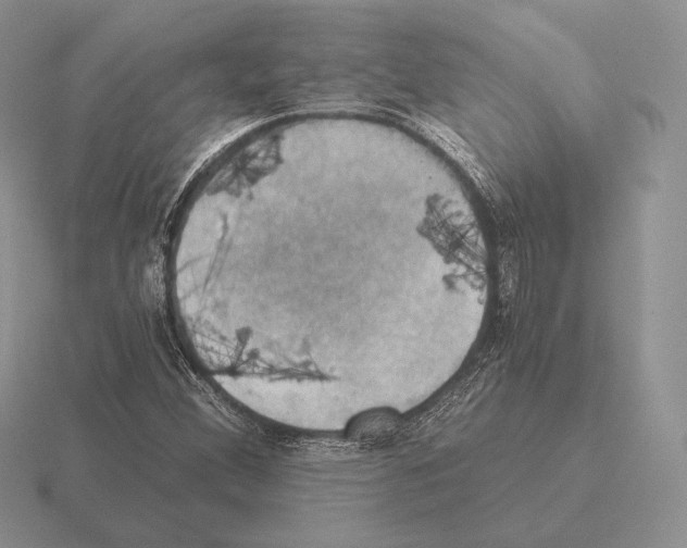 X0000115411356200912151532