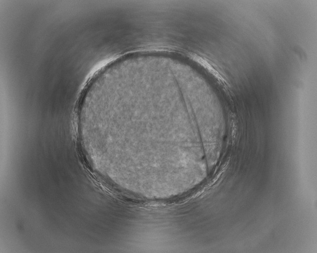 X0000115411358200912151532