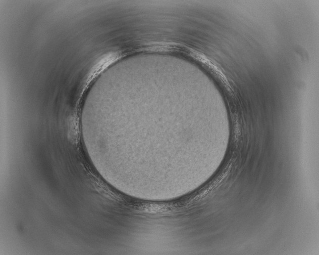 X0000115411362200912151532