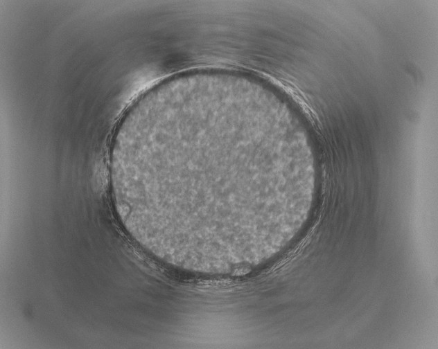 X0000115411363200912151532