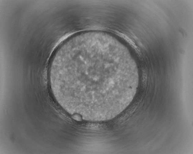 X0000115411364200912151532