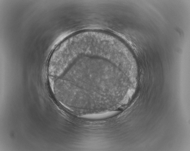 X0000115411367200912151532